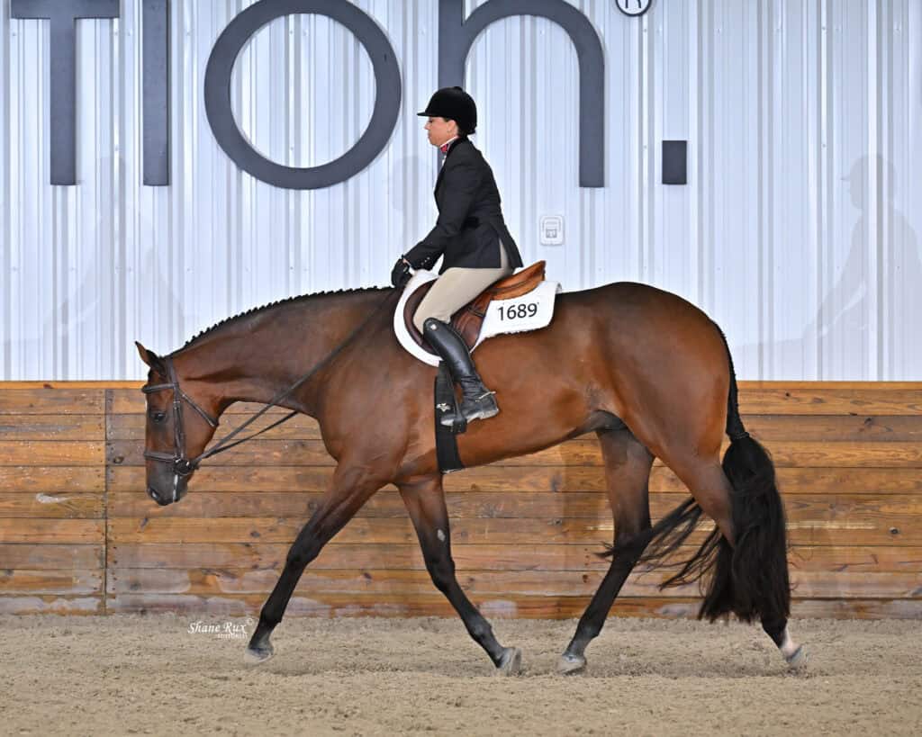 A rider in formal attire guides a bay horse at a walk inside an indoor arena with a wooden rail and metal wall background.