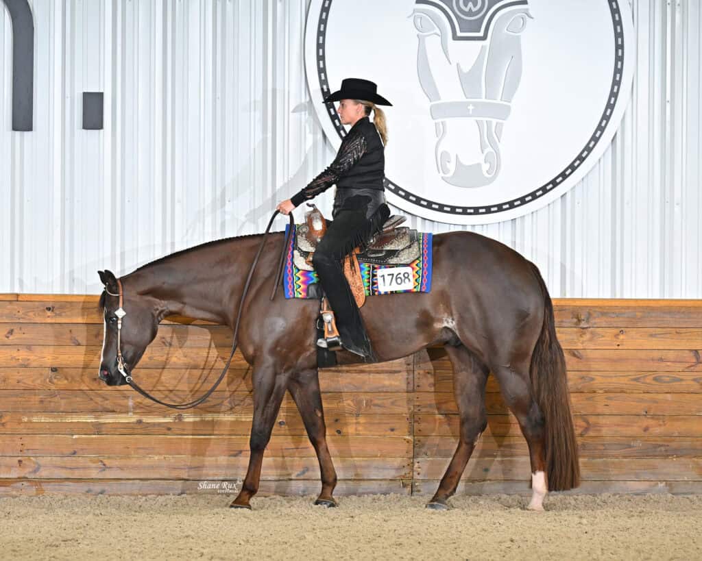 A person in a black outfit and hat rides a brown horse with a colorful saddle pad in an indoor arena, in front of a wooden wall and large horse logo.