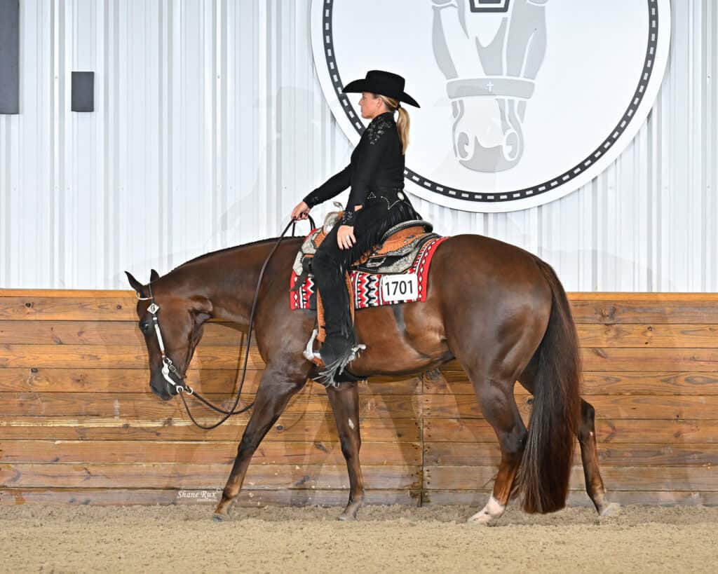 A rider in black attire and hat rides a brown horse with a patterned saddle pad in an indoor arena with a wooden wall and horse emblem.
