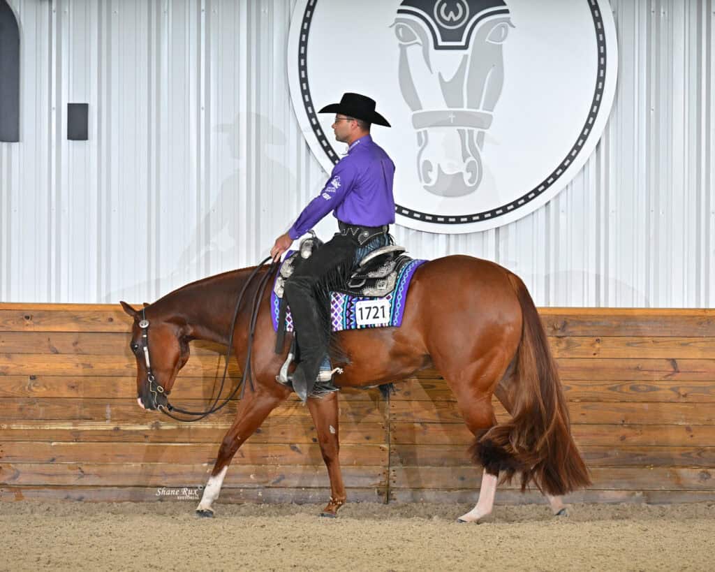 A rider in a purple shirt and black hat sits on a chestnut horse with a braided tail, riding in an indoor arena with a horse logo on the wall.