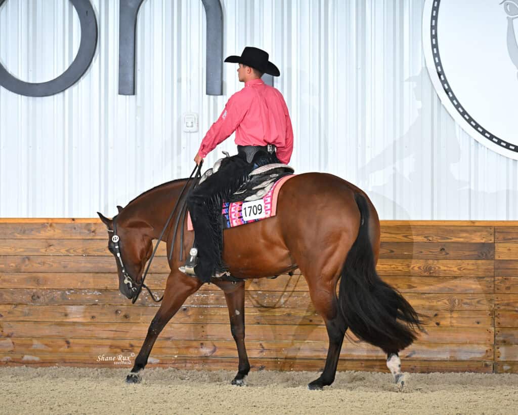 A rider in a black hat and pink shirt rides a brown horse with the number 1709 in an indoor arena with a wood and metal wall.
