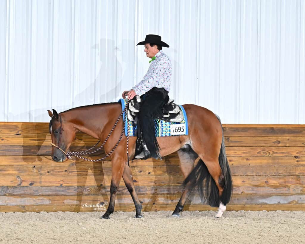 A person in western attire rides a brown horse with a braided rein and decorative saddle pad in an indoor arena with wood paneling.