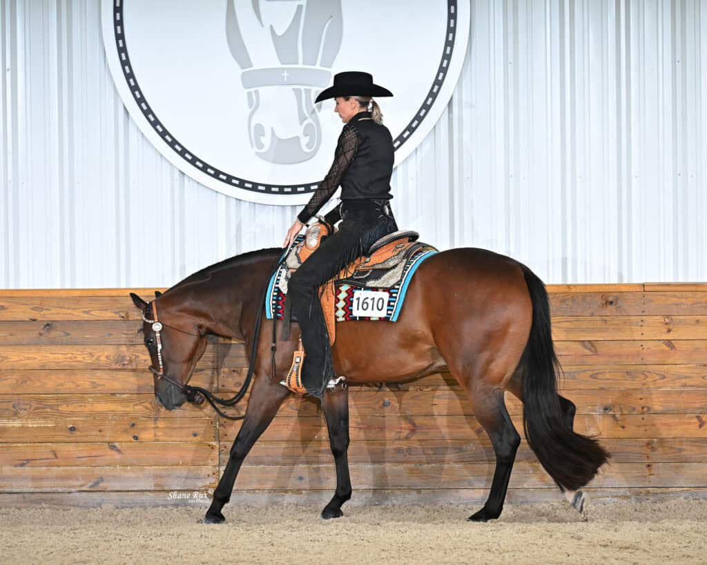 Rider in a black hat and shirt competes on a brown horse with a saddle blanket, in an indoor arena with wood paneling and a horse logo on the wall.