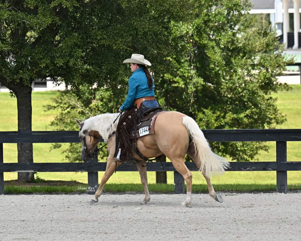 A rider in a teal shirt and cowboy hat guides a palomino horse at a walk in an outdoor arena bordered by a wooden fence.