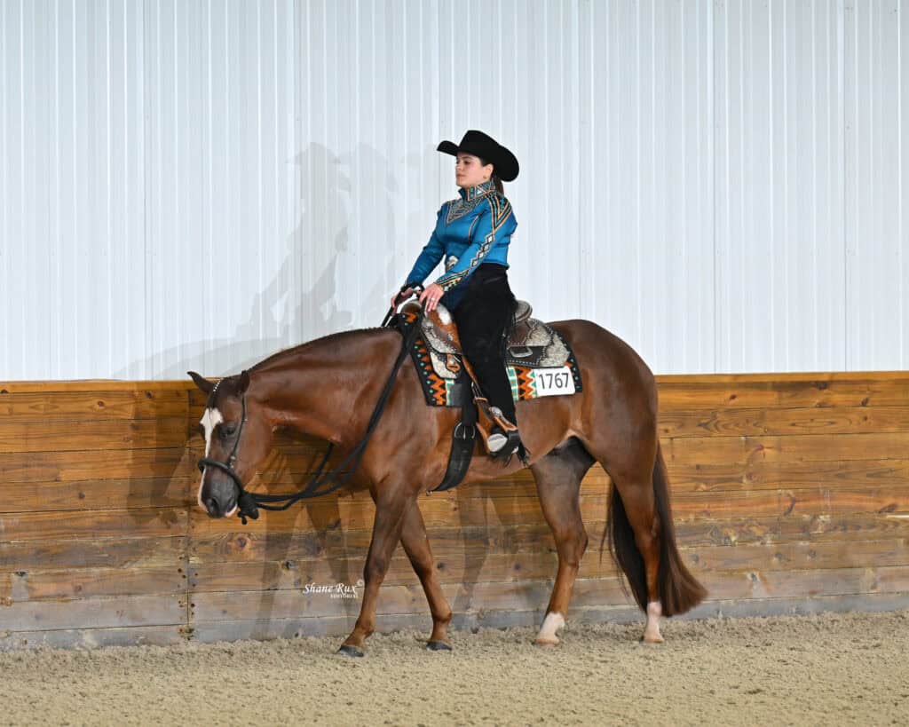 A rider in a blue shirt and black hat guides a brown horse with a white face and number 1767 in an indoor arena with wood and white panel walls.