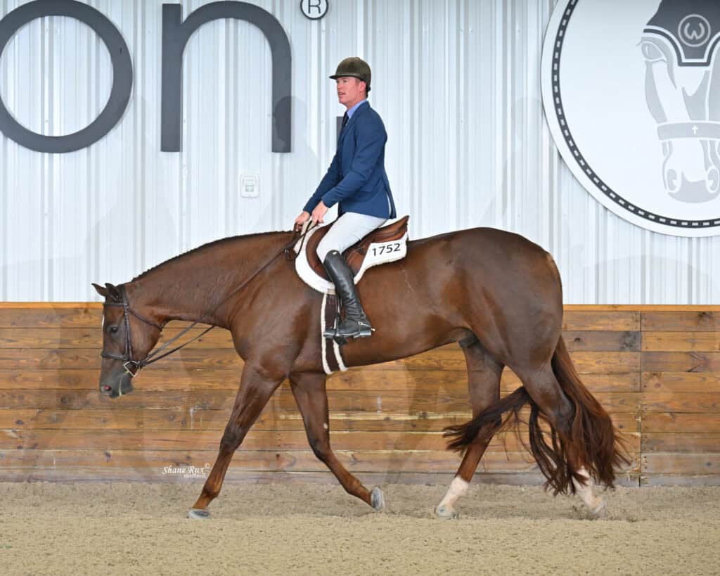 A rider wearing a blue jacket and helmet is riding a brown horse with the number 1752 on its saddle pad inside an indoor arena.
