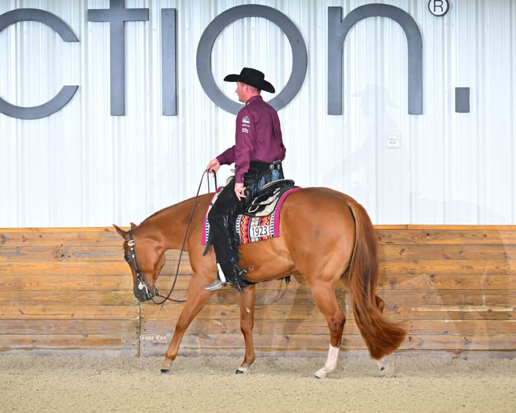 A person in a maroon shirt and black hat rides a brown horse with a colorful saddle pad indoors next to a wooden barrier.