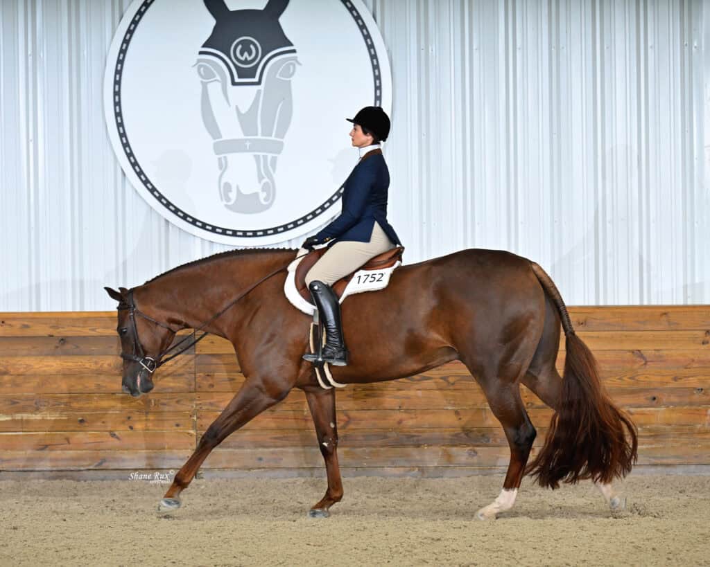 A rider in formal attire is riding a brown horse with a white blaze in an indoor arena with wood-paneled walls and a horse logo in the background.