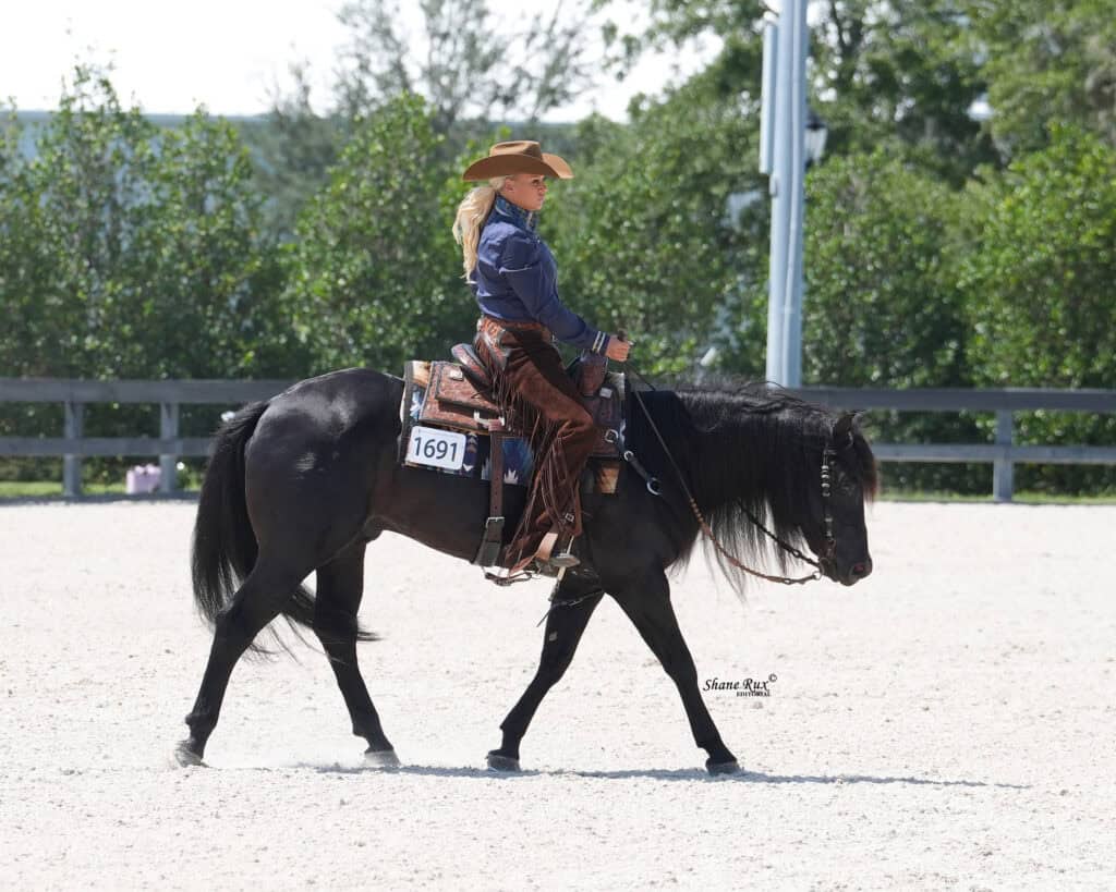 Person wearing a cowboy hat and chaps rides a dark horse with number 1691 in an outdoor arena, trees and wooden fence in background.