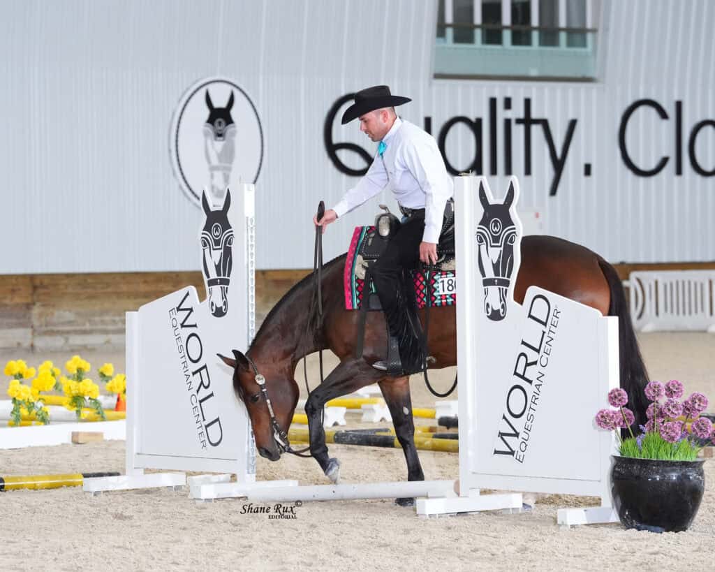 A rider in western attire guides a bay horse over a white obstacle with zebra graphics at an indoor equestrian event.