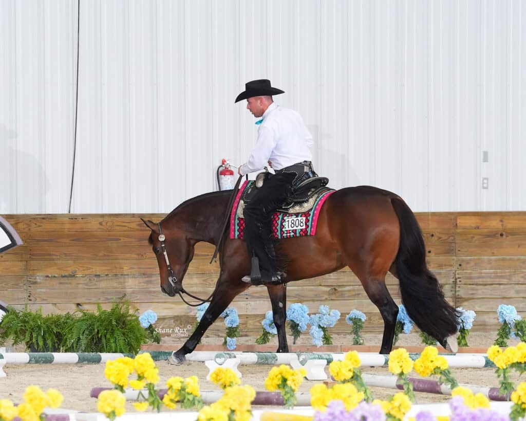 A person in a white shirt and black hat rides a brown horse with a red saddle blanket in an indoor arena decorated with flowers.