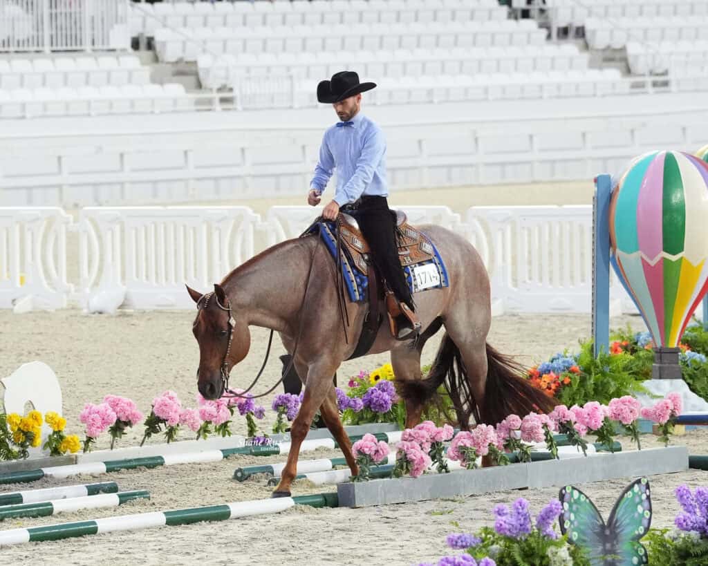 A rider in a black hat guides a brown horse through a course decorated with flowers and white poles in an empty arena.