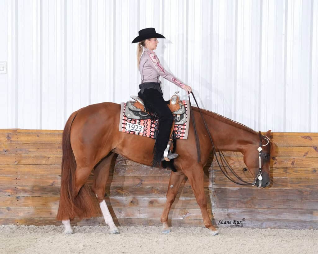 A woman in western attire and a black hat rides a chestnut horse with a patterned saddle pad, next to a wooden and white wall indoors.