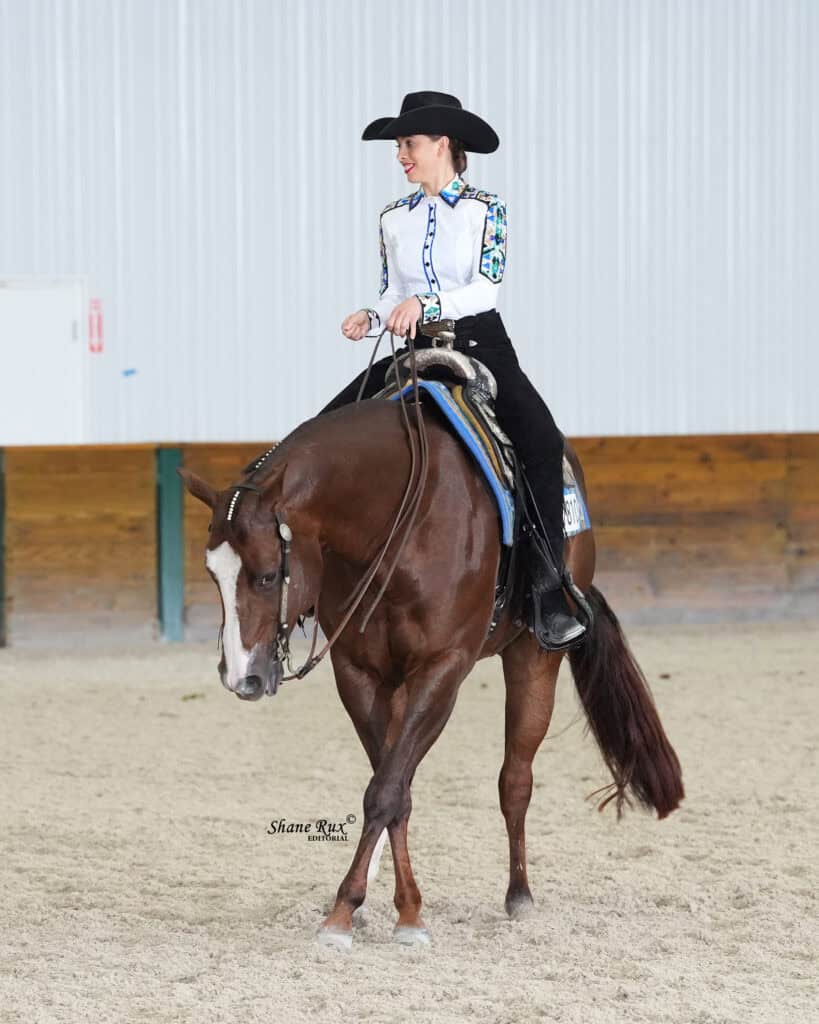A rider in a white shirt and black hat guides a brown horse with a blue saddle pad in an indoor arena with sand footing.