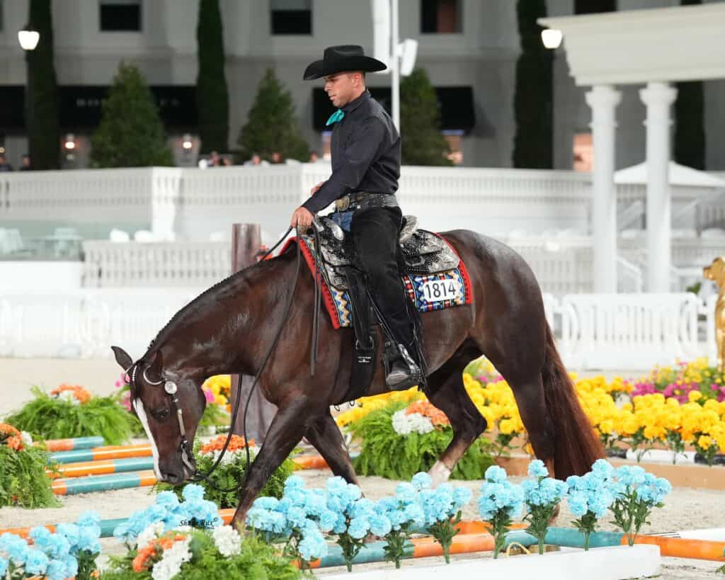 A man in a black outfit and hat rides a horse through an indoor arena decorated with colorful flowers and poles.