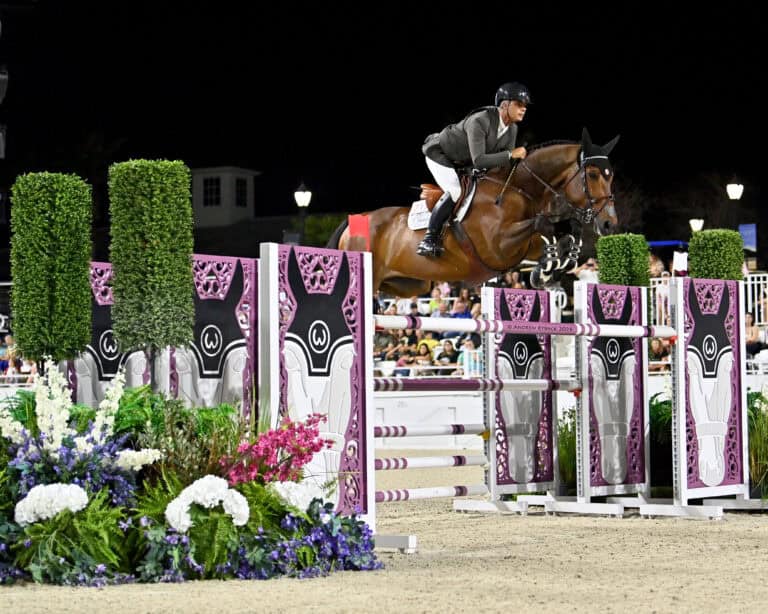 A rider and horse jump over a decorated obstacle during a nighttime equestrian show jumping event, with spectators in the background.
