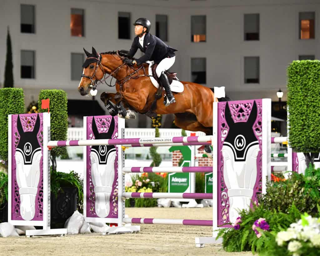 A rider in equestrian attire guides a brown horse over a purple and white jump during a show jumping competition.