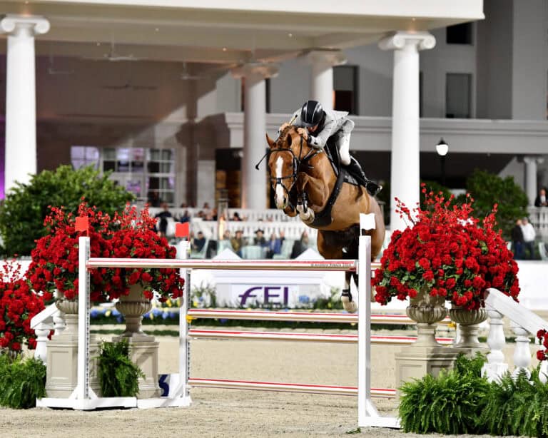 A rider and horse jump over a red-and-white obstacle during an equestrian event, with red flowers and greenery nearby.