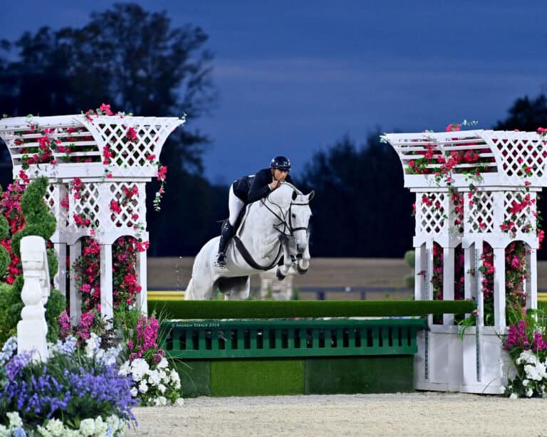 Equestrian rider in a black jacket and helmet jumps a white horse over a green and white obstacle decorated with flowers during an outdoor competition at dusk.