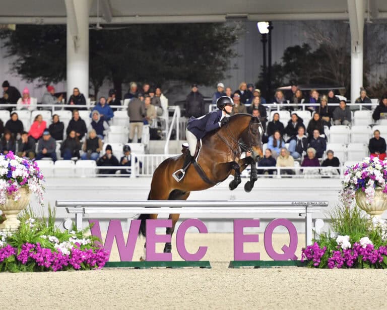 Equestrian rider in formal attire jumps a brown horse over an obstacle labeled “WEC EQ” in an arena with a seated audience and flower decorations.