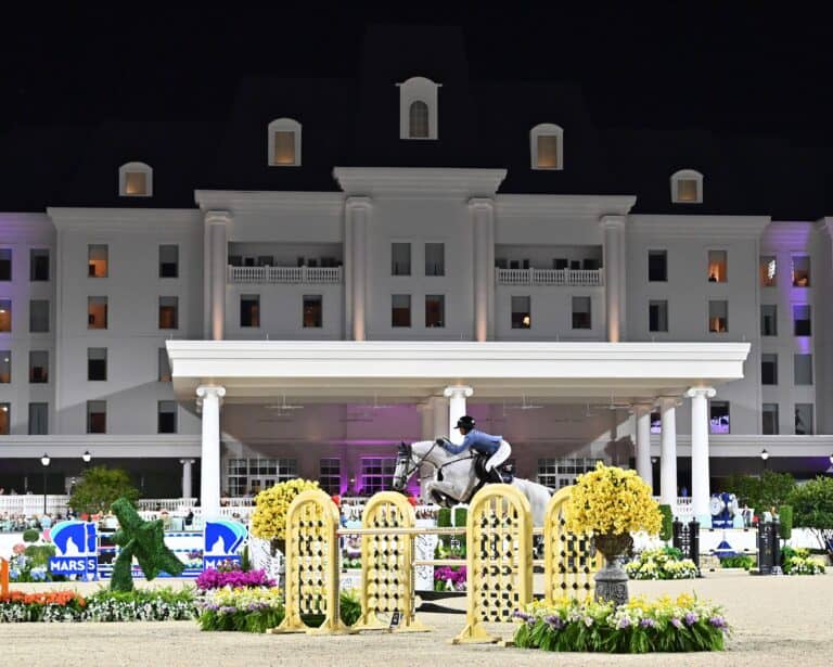 A rider on a white horse jumps over a yellow obstacle during a nighttime equestrian event in front of a large illuminated building.