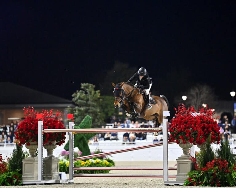 Equestrian rider and horse jump over a red-and-white obstacle during a nighttime show jumping event, with large red flower displays on either side.