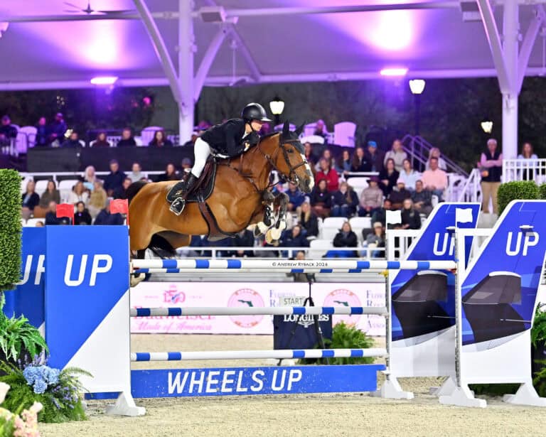 Equestrian rider and horse mid-jump over a blue and white hurdle marked “Wheels Up” during a show jumping competition, with spectators seated in the background.