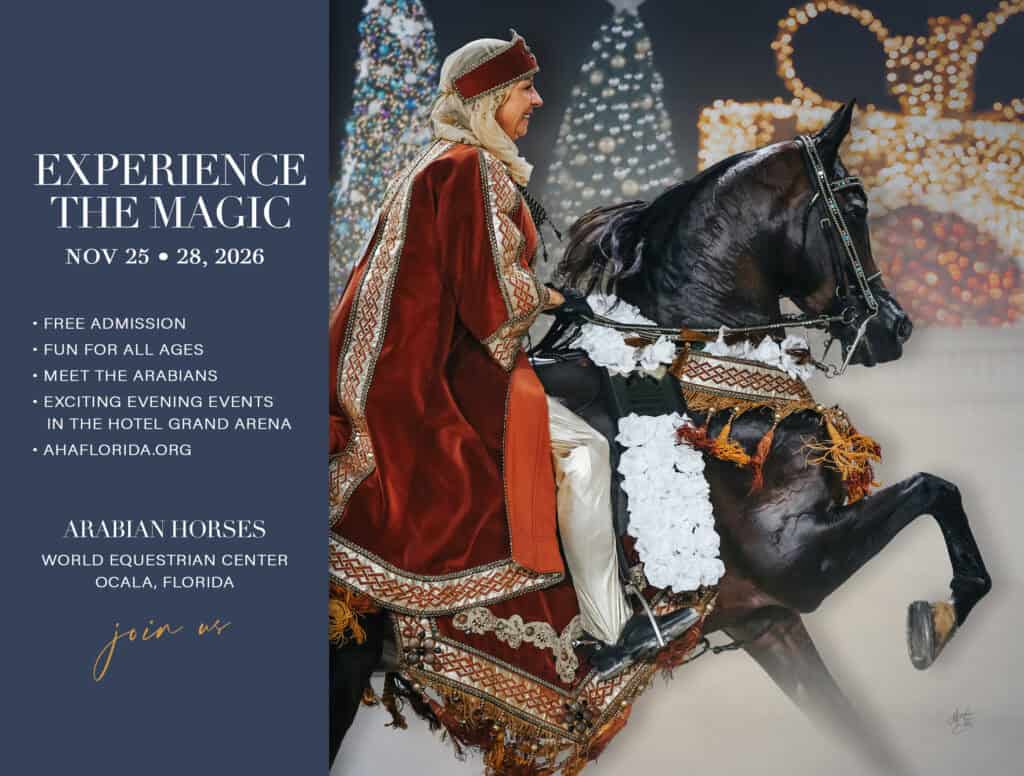 A rider in ornate attire sits on a decorated black horse in a festive indoor arena. Text on the left promotes an Arabian horse event in Ocala, Florida, happening November 25-28, 2026.
