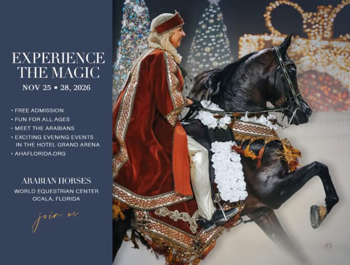 A rider in ornate attire sits on a decorated black horse in a festive indoor arena. Text on the left promotes an Arabian horse event in Ocala, Florida, happening November 25-28, 2026.