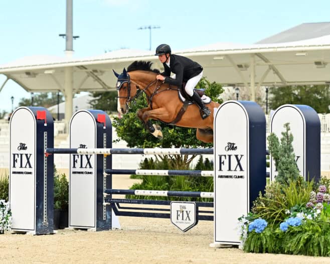 A rider in equestrian gear guides a brown horse over a high jump obstacle during a show jumping competition.