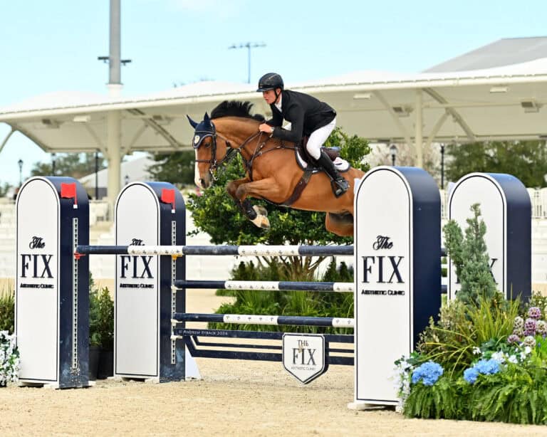 A rider in equestrian gear guides a brown horse over a high jump obstacle during a show jumping competition.
