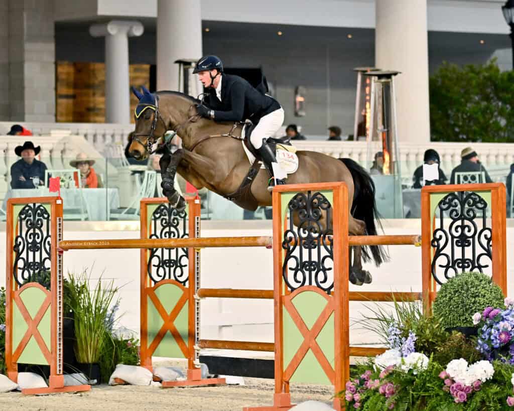 A rider in equestrian attire jumps a brown horse over a wooden obstacle during an indoor show jumping competition.