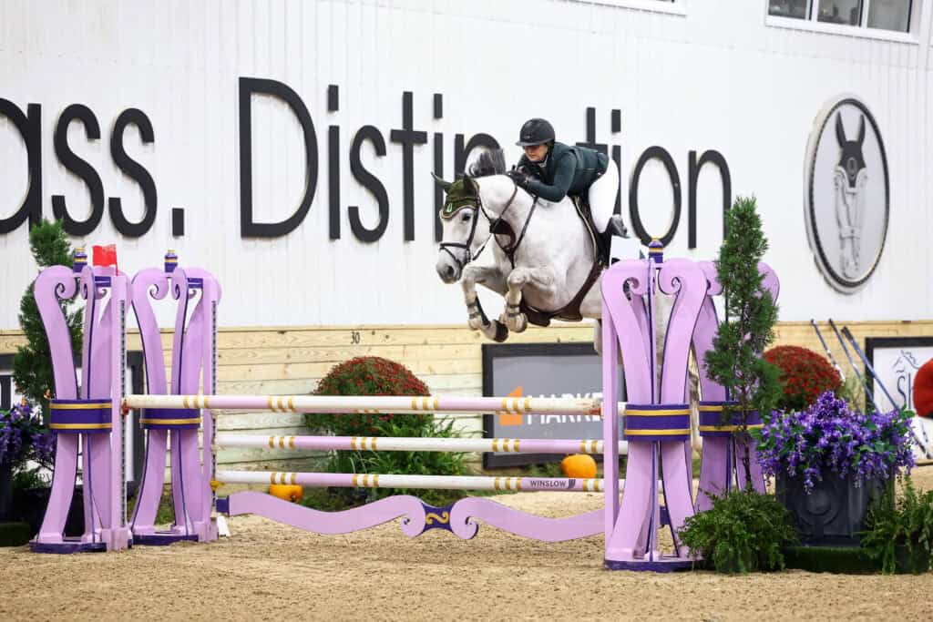 A rider on a grey horse jumping over a purple and white fence.