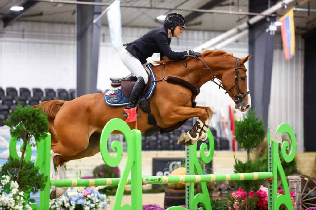 A horse and rider jumping over a green hurdle in an indoor arena.