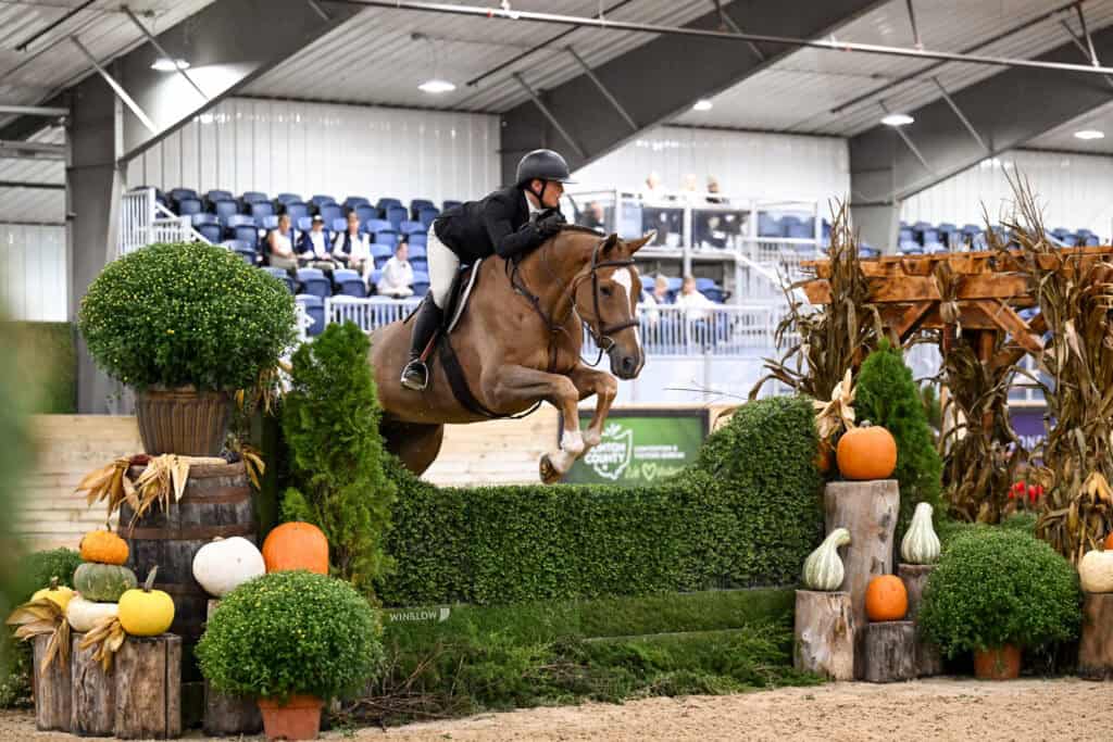 A horse and rider jumping over a hedge obstacle decorated with pumpkins and potted plants in an indoor arena.