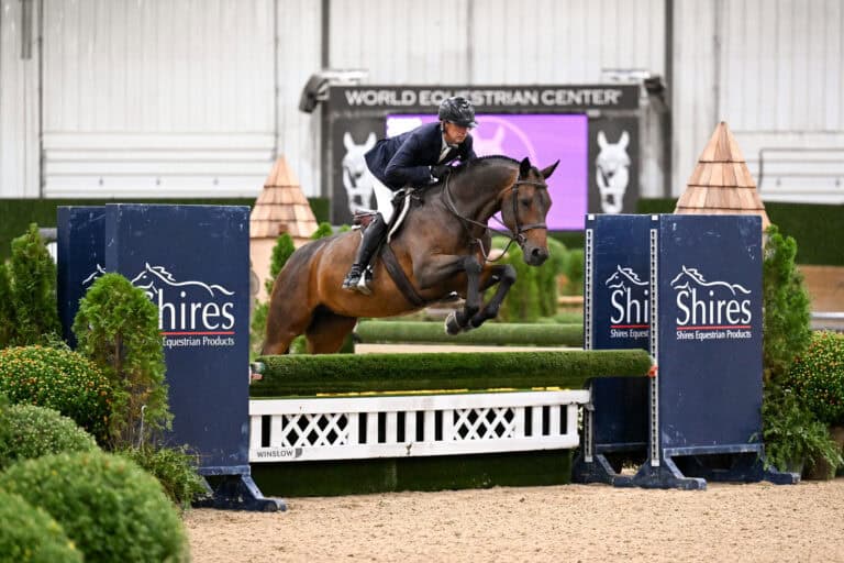A horse and rider jumping over a hurdle at the World Equestrian Center.