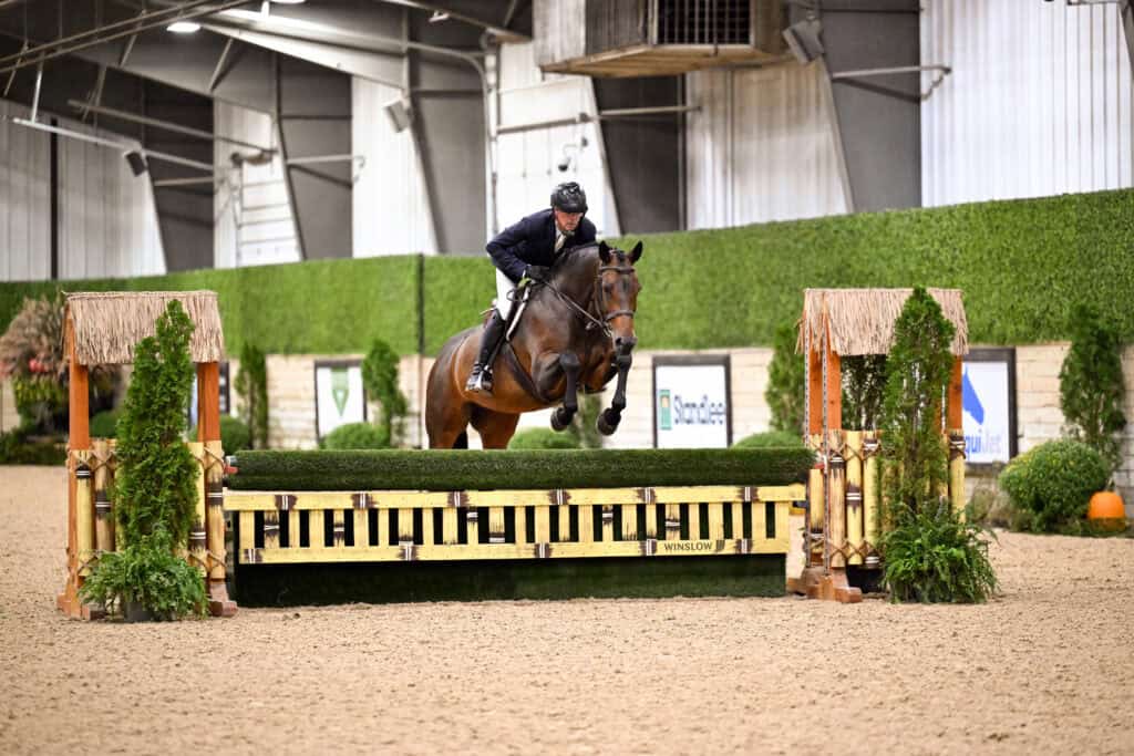A rider in a navy jacket and helmet jumps a brown horse over a decorative obstacle in an indoor equestrian arena.