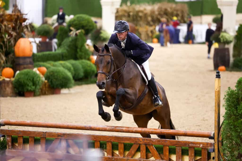 A rider in a navy jacket and helmet jumps a horse over a wooden fence in an arena decorated with pumpkins.