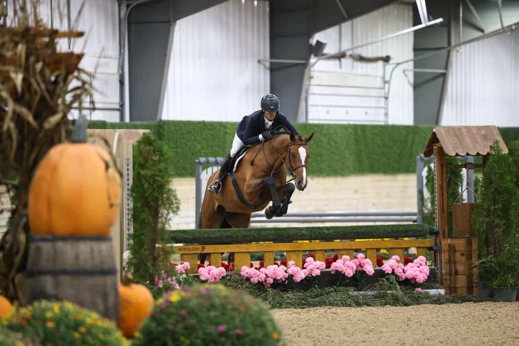 A rider on a brown horse jumping over a rail decorated with pink flowers.