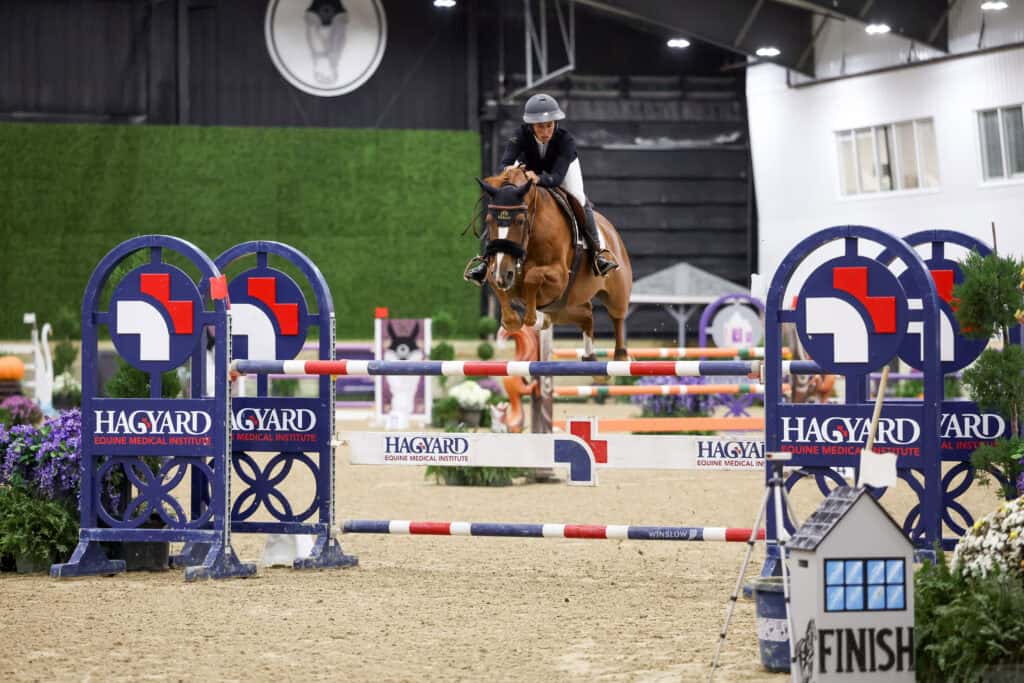 A horse and rider jumping over a hurdle in an indoor equestrian arena.