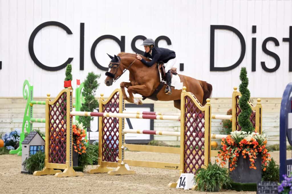 A rider on a chestnut horse jumping over a show jumping obstacle.