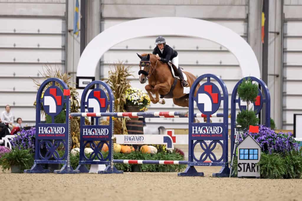 A rider on a brown horse jumping over a Hagard Equine Medical Institute hurdle in an indoor arena.