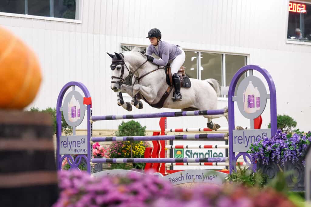 A rider in an equestrian helmet and jacket jumps a gray horse over a purple hurdle in an indoor arena.
