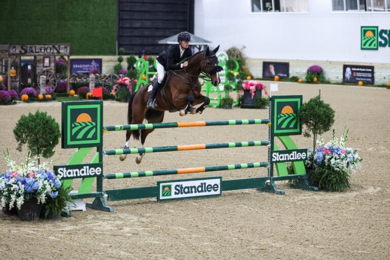 A rider on a brown horse jumping over a green and orange Standlee-branded obstacle in an indoor arena.