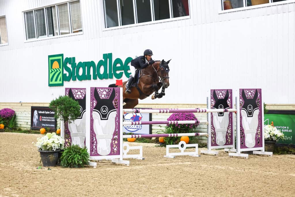 A horse and rider jumping over a decorated show jumping fence in an arena.