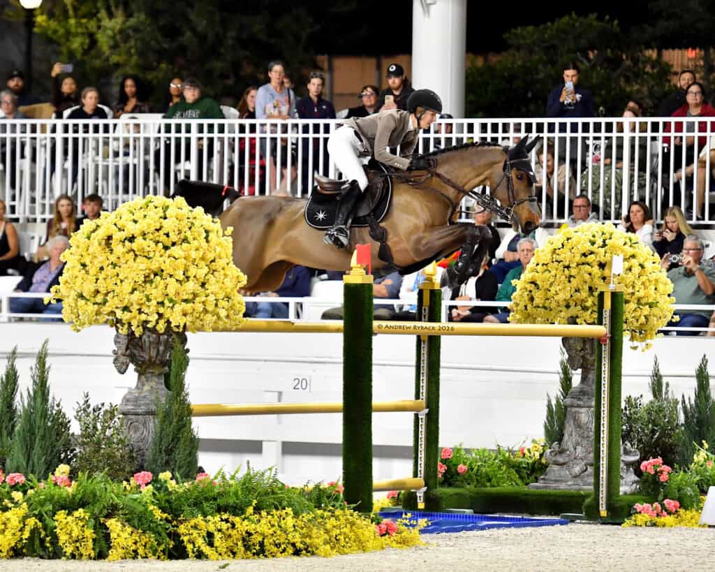 A rider on a bay horse jumping over a hurdle decorated with large yellow flower arrangements.