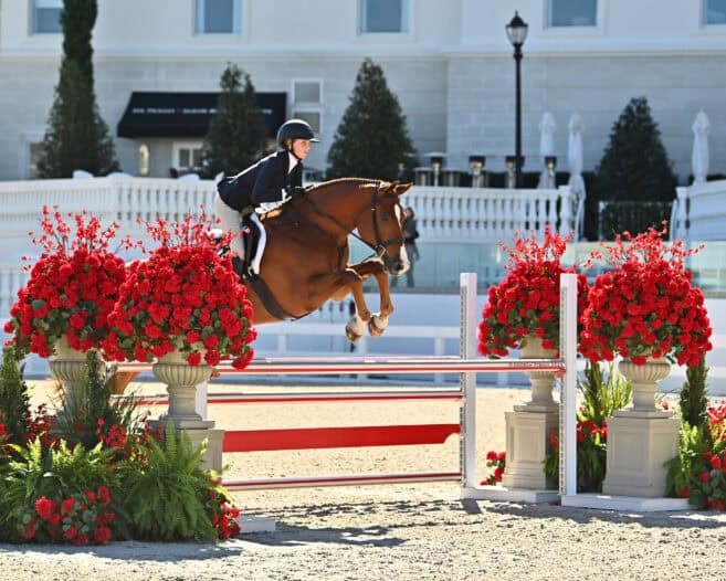 A rider on a bay horse jumping over a hurdle flanked by large planters of red flowers.