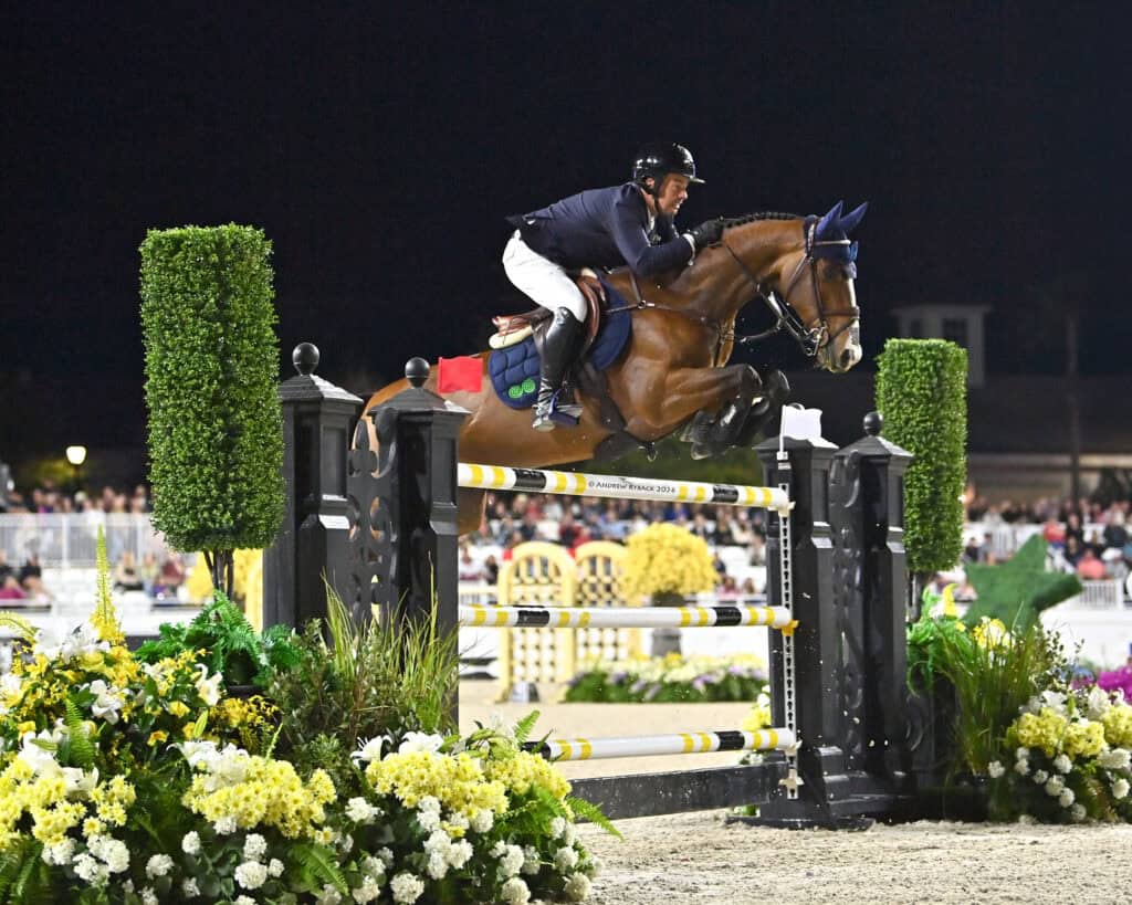 A show jumper on a brown horse clearing an obstacle during a night competition.