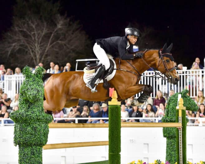 A horse and rider in formal equestrian attire jumping over a hurdle during a show jumping competition.