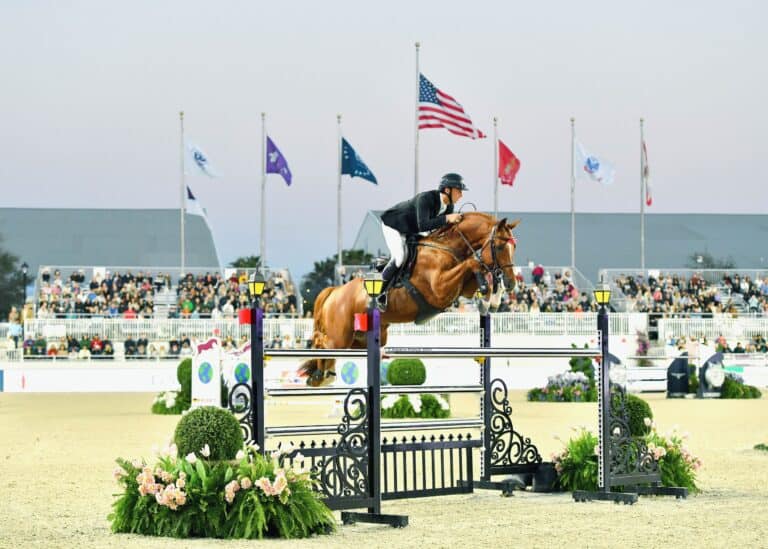 A horse and rider jumping over an obstacle in an equestrian show jumping arena.